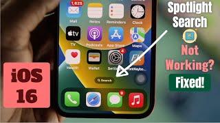 iOS 16: Spotlight Search Not Working? - Fixed Here!