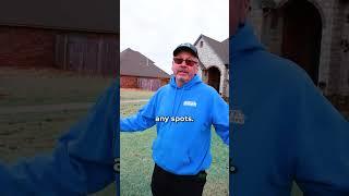 Why Is That Lawn Blue?