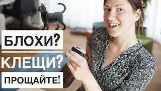 От блох и клещей навсегда! 3 натуральных способа защиты кота