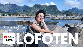 Before you visit Lofoten 2024| Lofoten travel guide #lofoten #VisitNorway #carcamping