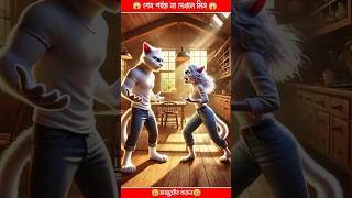Dad Cat saved his Family from Thieve#cat #catsoftiktok#shortsfeed#trendingshorts#viralshorts 78