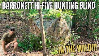 Barronett Hi-Five Hunting Blind In The Wild!!! Thrive Camo Pattern!!!