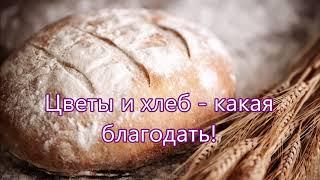 Цветы и хлеб как это хорошо/// Детская /// на Жатву