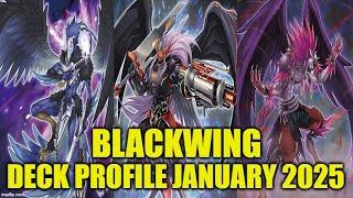 BLACKWING DECK PROFILE (JANUARY 2025) YU-GI-OH!