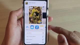 How to Save a Live Photo As a Video on iPhone 11 Pro | IOS 13