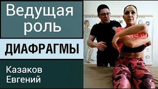 ФРАГМЕНТ ВЕБИНАРА ДИАФРАГМА. КАК ДИАФРАГМА СВЯЗАНА С ВИСЦЕРАЛЬНОЙ СИСТЕМОЙ. ПРИКЛАДНАЯ КИНЕЗИОЛОГИЯ.