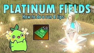 Platinum Field Guide & Tips [ Lost Ark ]