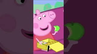 Peppa, What is in your Lunch Box? #shorts