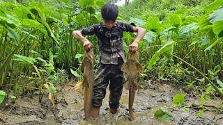 The Journey of a 12-Year-Old Homeless Orphan, Wild Fishing Skills for a Living