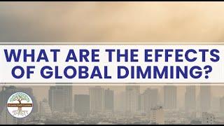 What Are the Effects of Global Dimming Dynamic Earth Learning