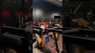 Bear Grips Weight Lifting Gloves