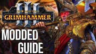 How to Play the Empire in SFO | Total War Warhammer 3