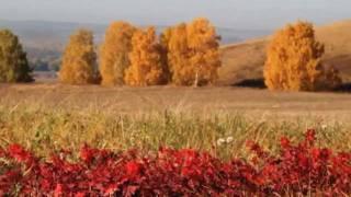 Бабье лето. ( Джо Дассен)wmv
