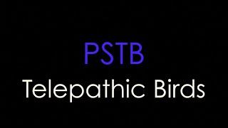 Telepathic Birds — PSTB (Permanently Set to Broken)