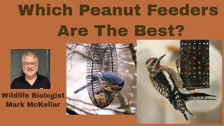 What Peanut Feeders Are The Best?