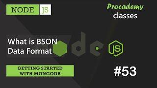 #53 What is BSON data format | Getting Started with MongoDB | A Complete NODE JS Course