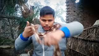 LAL CHANDAN //MAFIYA MAHESH YADAV