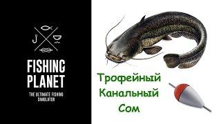 Как ловить Трофейного Канального Сома Fishing Planet (поплавок) | Фишинг Пленет Трофейный Сом