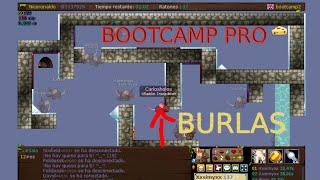 CHUTY PRO BOOTCAMP #1 TRANSFORMICE