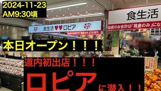 2024年11月23日　道内初出店！本日オープン！ロピアにいってきました！（シーナシーナ)