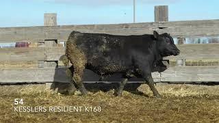 54 - Kesslers Resilient K168