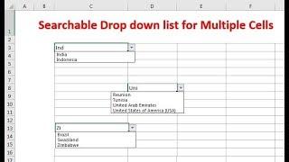 Searchable drop-down list for multiple cells