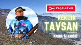 Karlı Dağlar KEKLİK ve TAVŞAN Avı (kar da iz takibi) #keklikavı #tavşanavı #harehunting #patridge