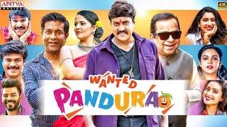 Wanted PanduRao Hindi Dubbed Movie | Sunil, Anasuya | Brahmanandam | South Movie 2024