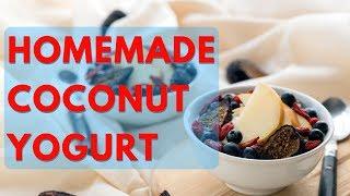 Homemade Coconut Yogurt Recipe (Vegan & Dairy-Free!)