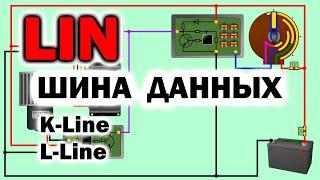 Как работает LIN шина автомобиля. K-Line L-Line шины данных. Лин шина автомобиля. Lin-bus network