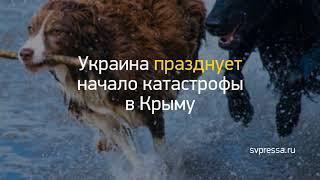 Новость дня: "Названо место начала третьей мировой войны..." и другие главные новости за 2018-08-14