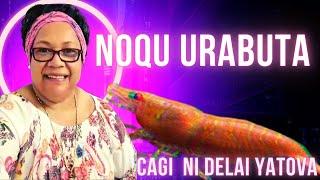 Noqu Ura Buta  - Cagi ni Delai Yatova