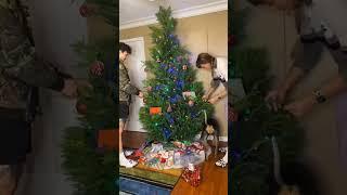 8 Foot Christmas Tree VS Giantess credit :Natasha burnz#shorts #giantess #giantessgrowth #tallgirls