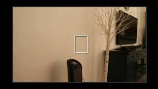 Nathan Hodgson Live Stream