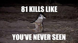 81 NIGHT CREW KILLS. Trust me.......you have time!