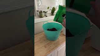 What’s your favorite potting soil for indoor plants? I usually use (not sponsored) potting soil for