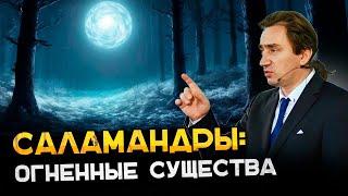 Саламандры - огненные существа.