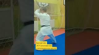 #каратэ #karate #кобудоминск #кобудо #эку #eku #eiku #kobudodemonstration #kobudoweapons #bassaisho