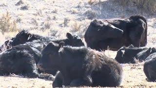 Ag Week in Montana spotlights Sieben Ranch