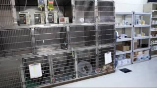 Mission Veterinary Clinic Hospital tour in 2010