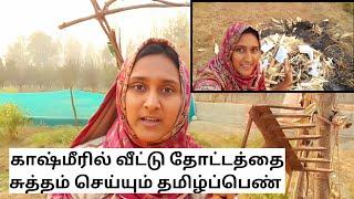 காஷ்மீரில் வீட்டு தோட்டத்தை சுத்தம் செய்யும் தமிழ்ப்பெண் #kashmir #cleaning #garden #vlog