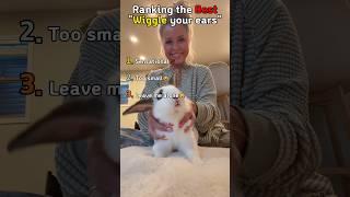 Best "Wiggle your Ear" Challenge!