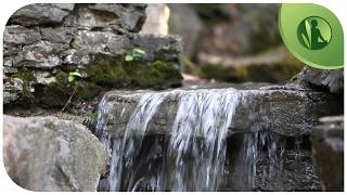 Nature Sounds: Music for Deep Relaxation with Flowing Water and Birds