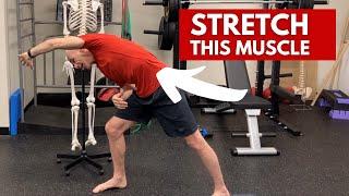 Stretch This Muscle To Beat Back Pain (QL Stretch) | Ed Paget