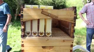 Imkerverein Nidda/Schotten - Der Flow Hive