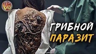 Древний грибковый паразит | История Зла