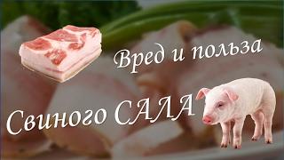 Вред и польза свиного САЛА!