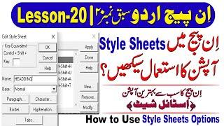 how to create style sheets in inpage book setting lesson 20 in urdu hindi #inpagetutorial #howto