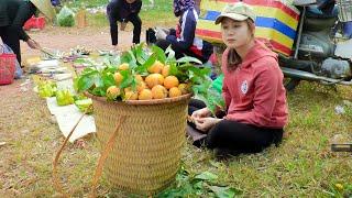 Harvesting Chicken Eggs Going to Market, Farm Care, Buy Rabbits To Raise | My Free Life