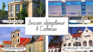 Высшее образование в Словакии. Стипендия. Цена. Проживание. Учебный процес